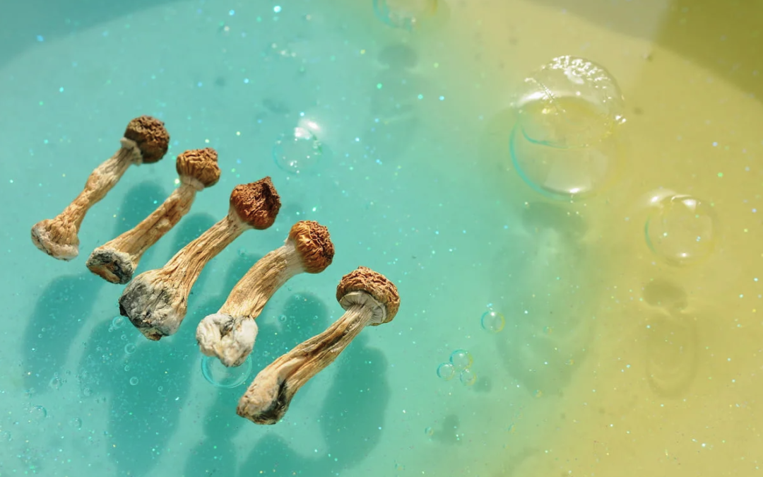 First patient enrolled in psilocybin trial for demoralisation