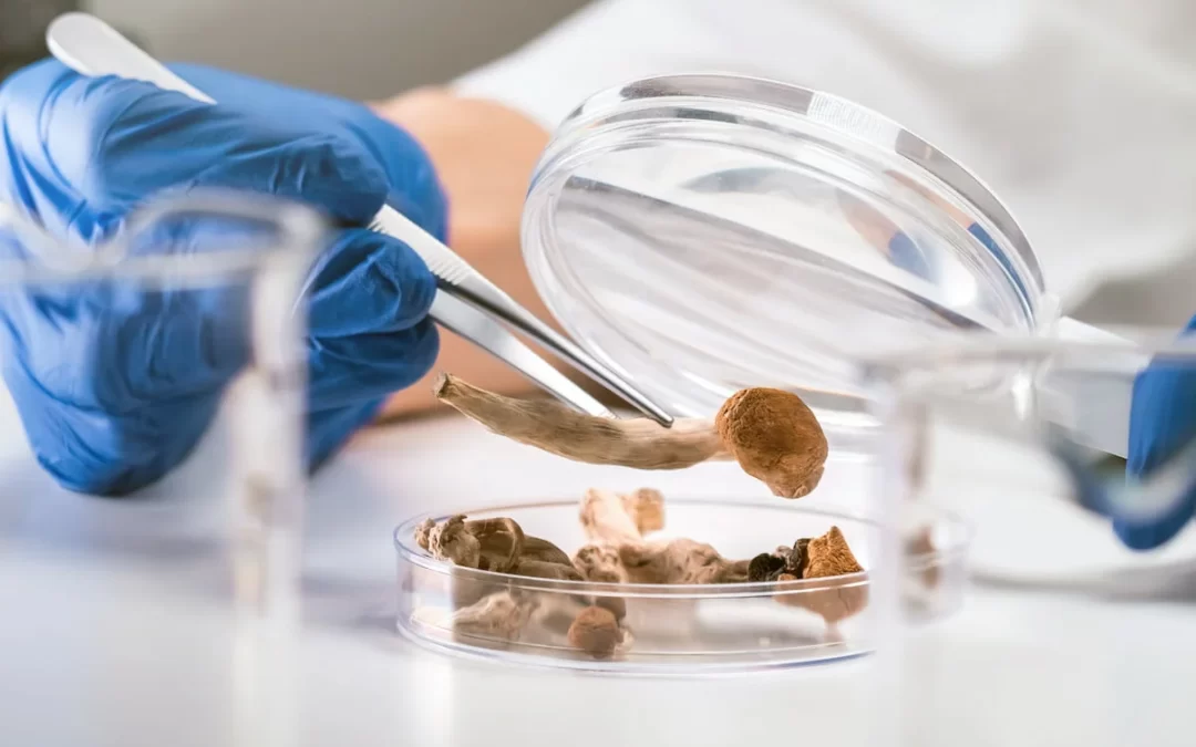 Psilocybin analogue shows positive results in Phase 2 depression study