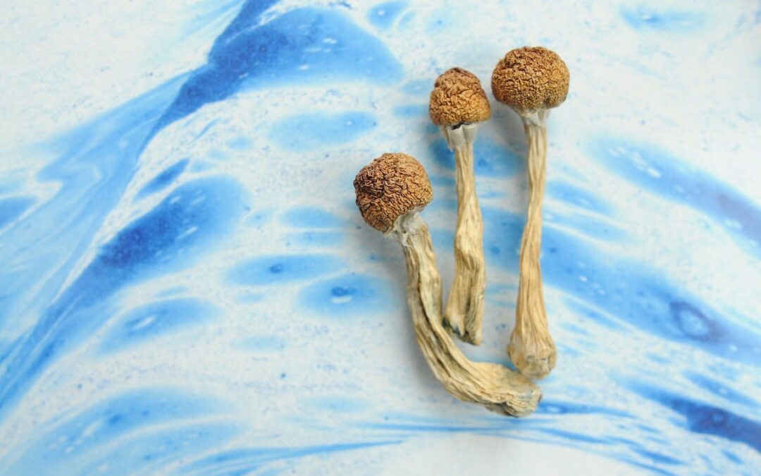 Study to investigate psilocybin therapy for cancer-related depression