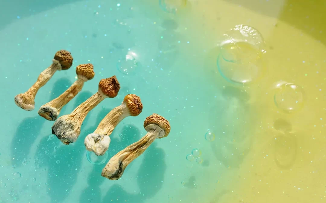 First psilocybin trial for bipolar depression shows promising results