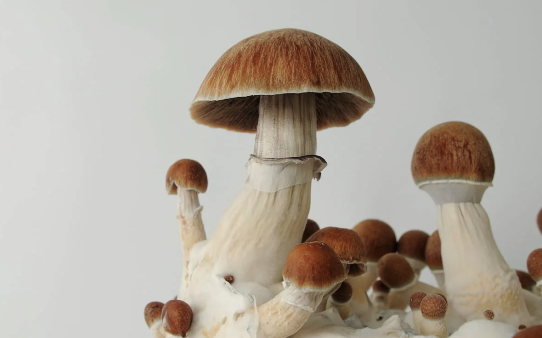 Compass Pathways launches Phase 3 psilocybin trial in UK
